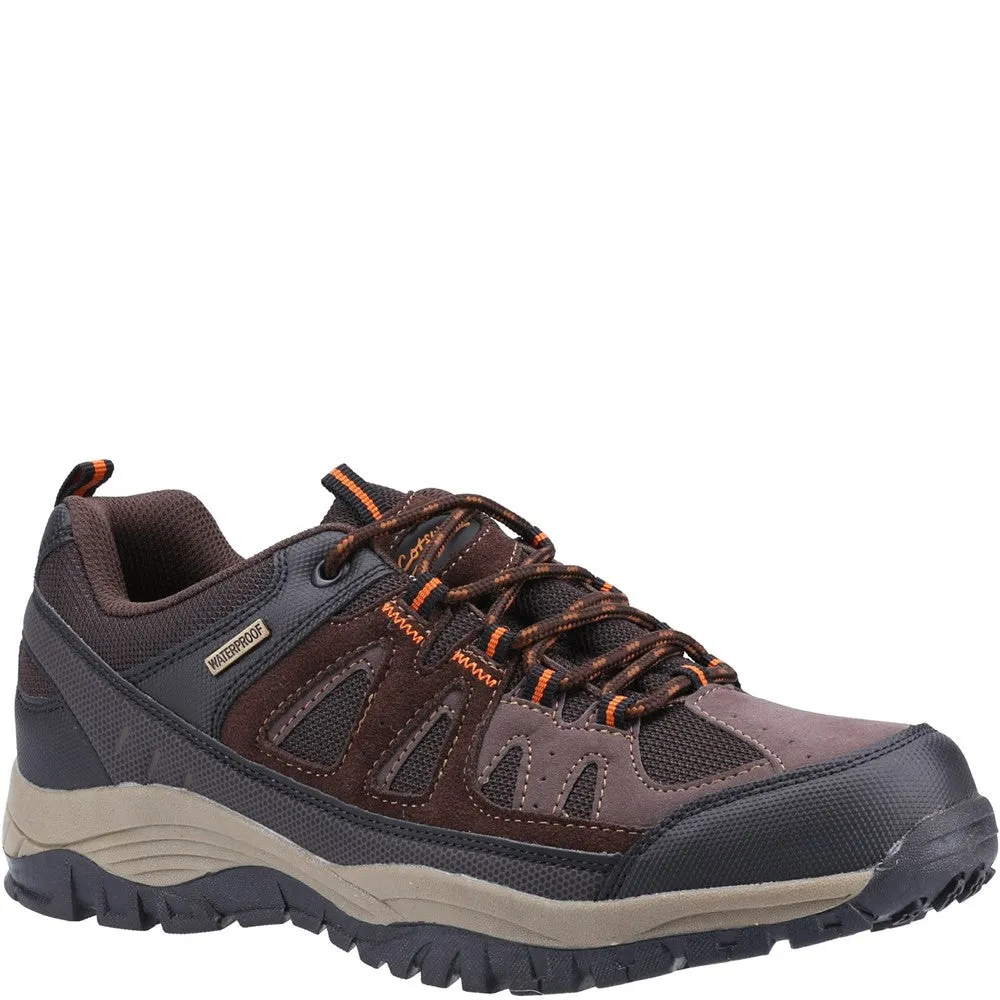 Maisemore Low Hiking Shoes Brown