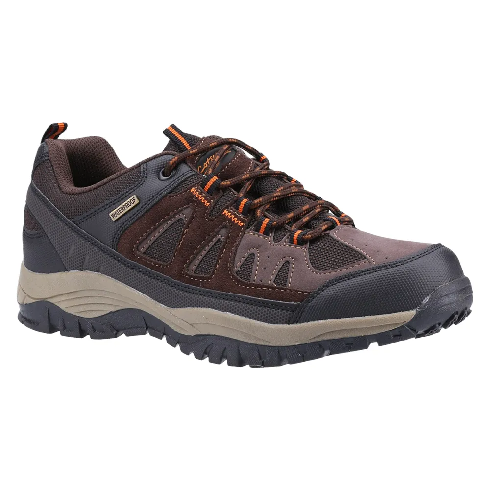 Maisemore Low Hiking Shoes Brown