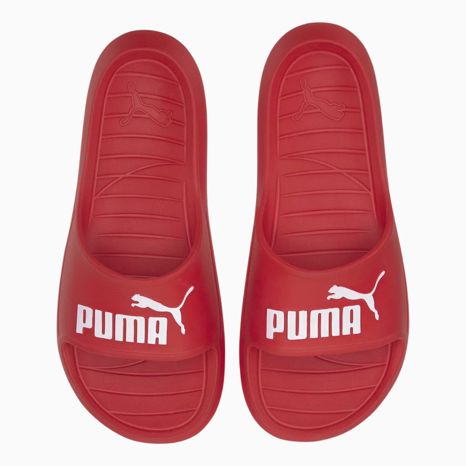 Men's Divecat V2 Slides